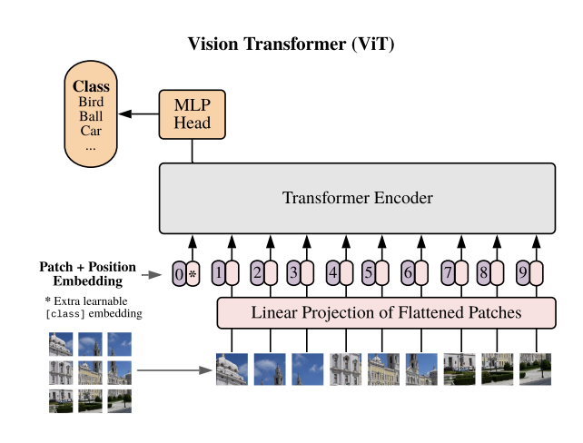 Image of the ViT pipeline form the ViT paper. It shows the same steps outlined above